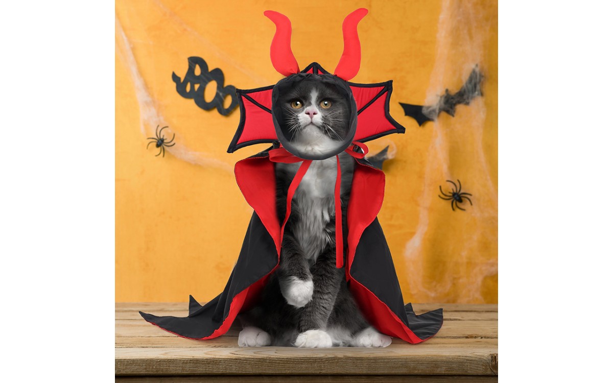 Dress Up Your Cat in Comfort This Halloween with Our Polyester Casual Costume