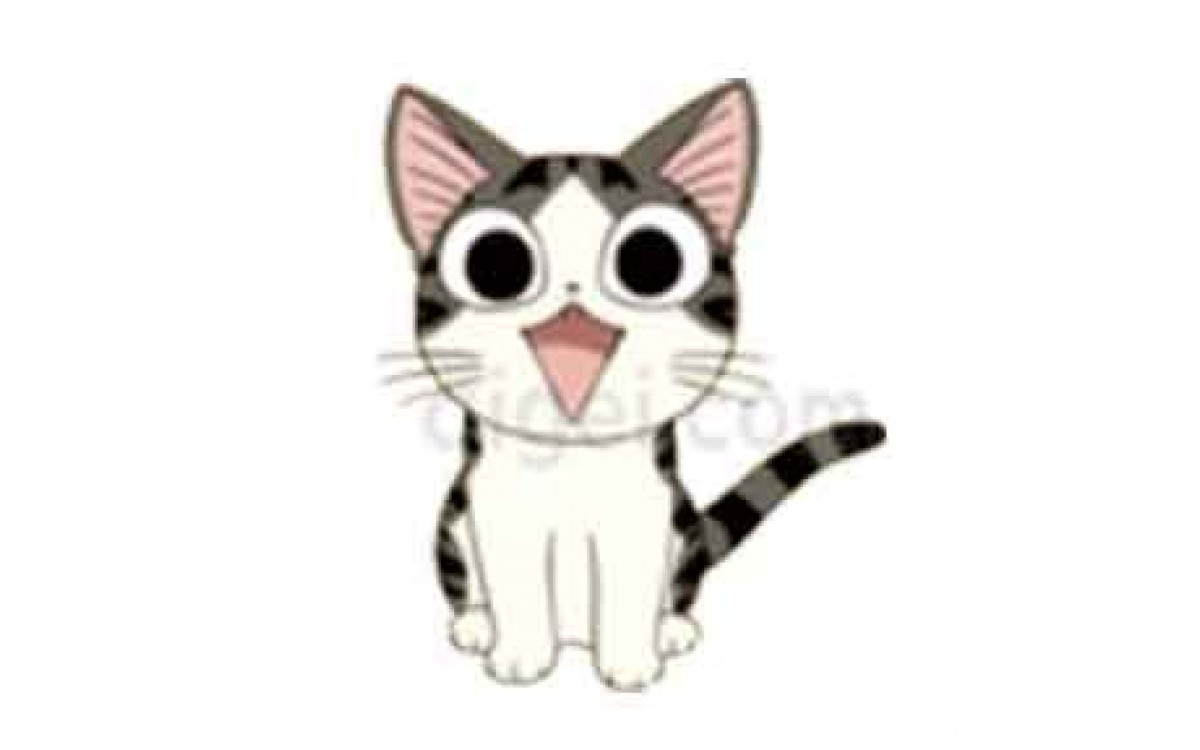 Cat Cat