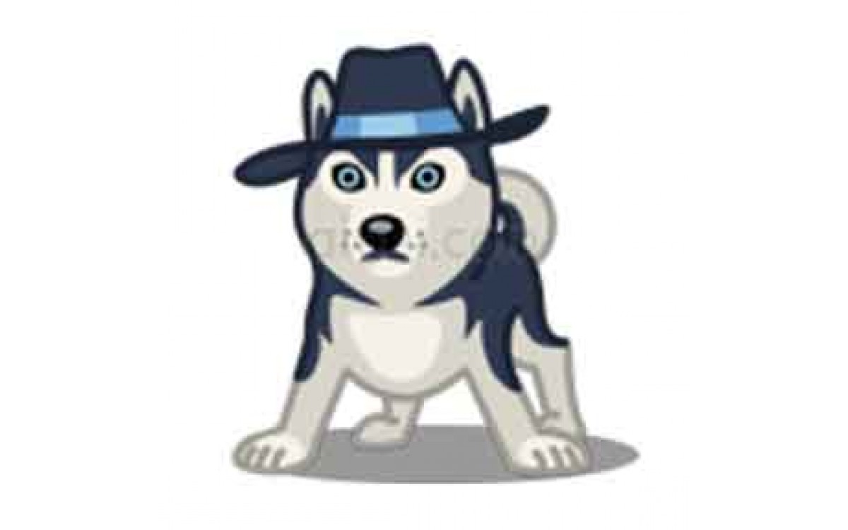 Dog Dog