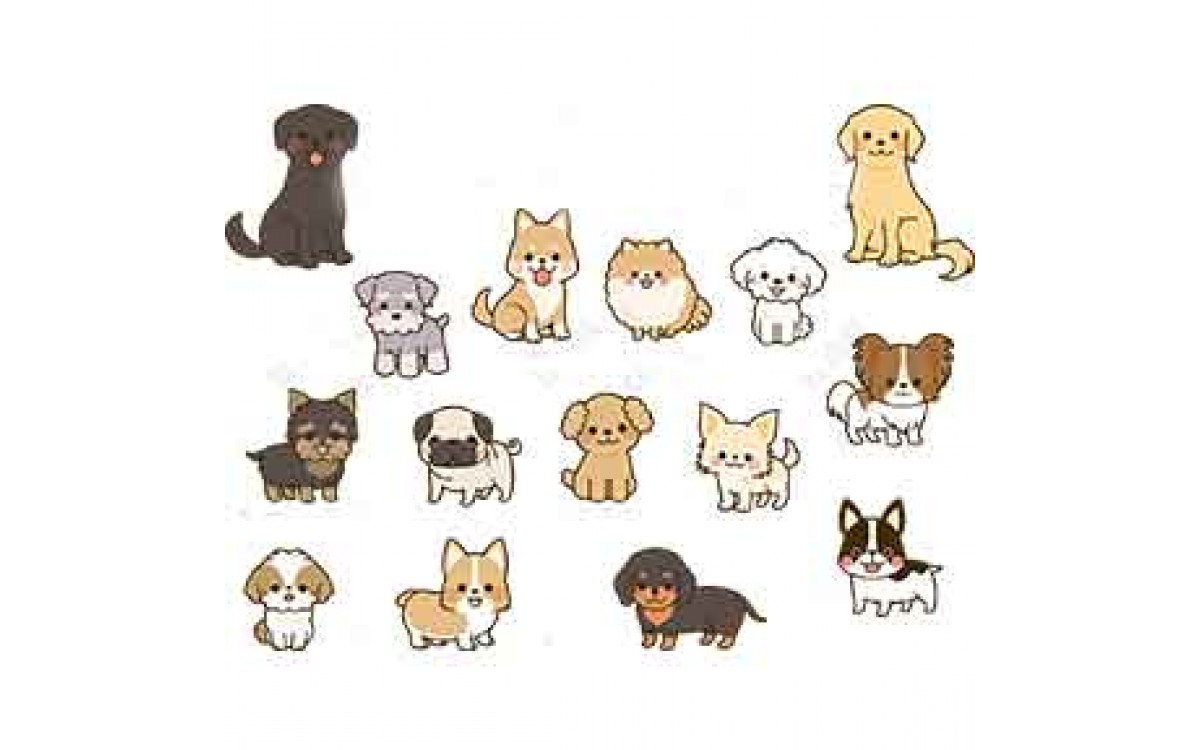 Small Pet